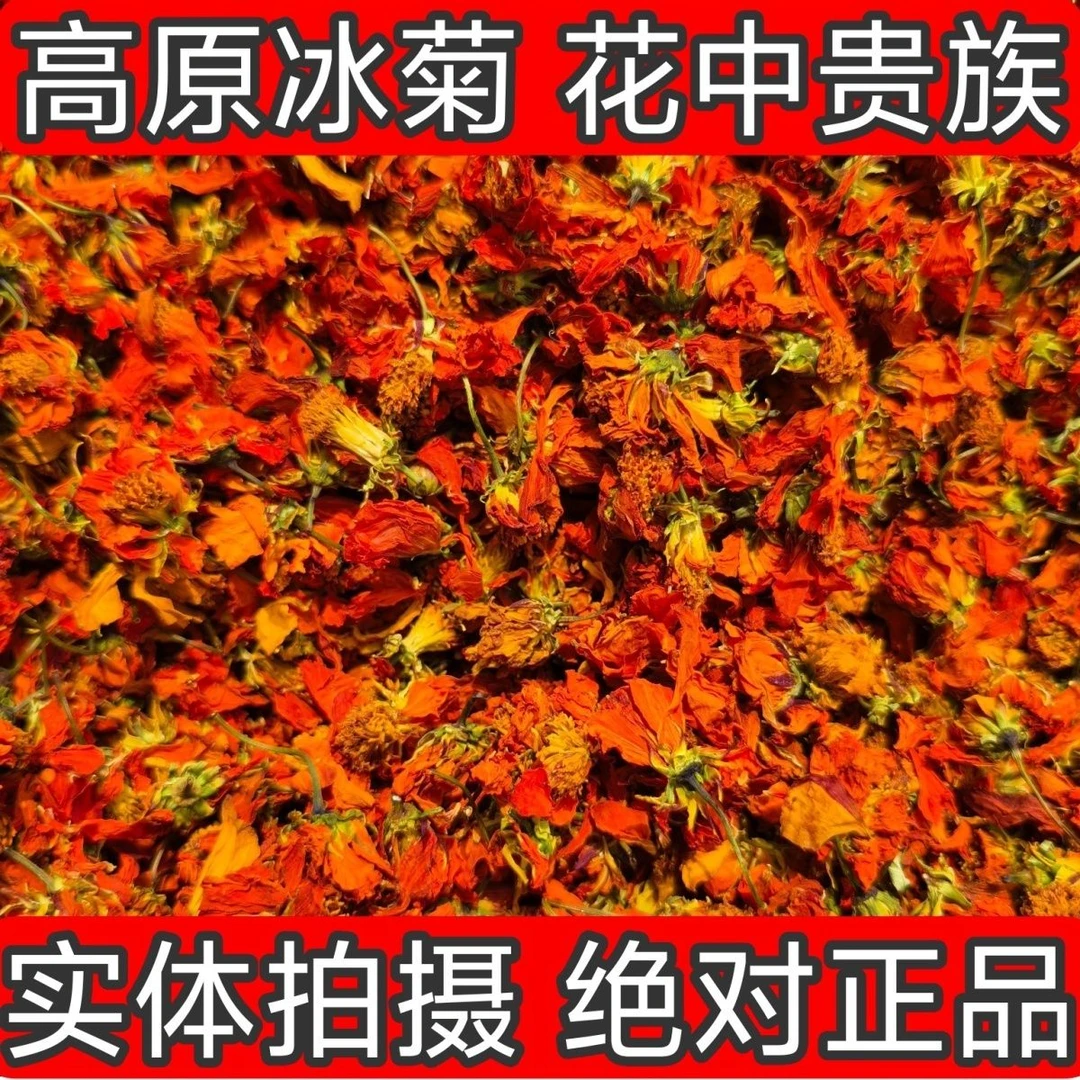【雪域冰菊】冰菊新疆西域冰菊胎菊新货高山冰菊泡水浓醇口感特产
