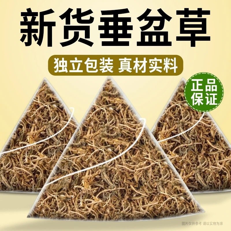 垂盆草茶包独立包装新货干货可泡茶正宗中药养生茶锤盆草组合茶