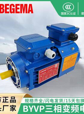 6极YVP变频调速电机0.37w-315w三相异步电动机380V高效调速电机