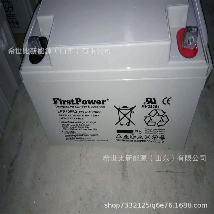 一电蓄电池LFP1240太阳能风能发电12V40AH电厂/电站/化工储能系统