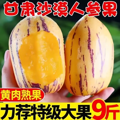 民勤沙漠人参果低糖孕妇