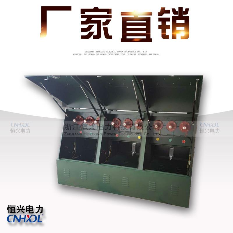 DFW10/630A三进三出六路欧式高压电缆分支箱铁质不锈钢电缆分接箱