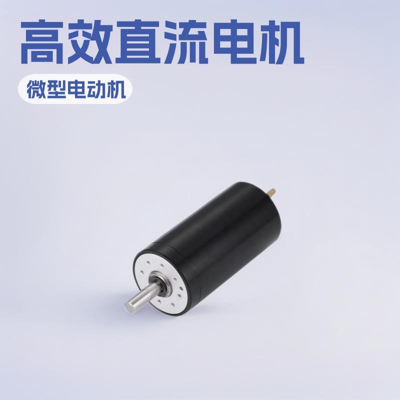空心杯电机2655空心杯马达直流减速电机有刷马达微型伺服工厂