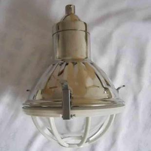 防爆灯具BAD56-e不锈钢防爆防腐灯BFD55 防爆防腐灯FGL