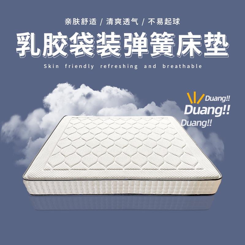 酒店冰丝布面料抗菌抑螨乳胶弹簧床垫环保单双人软硬两用棕垫静音