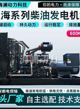 养殖场上海柴油发电机组600kw纯铜发电机组学校降噪柴油发电机组