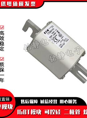 170M4926 170M4927 170M4928 170M4929巴斯曼熔断器现货170M4930