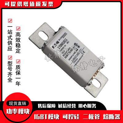 170M1812 170M1813 170M1824 170M1825巴斯曼熔断器现货170N1826