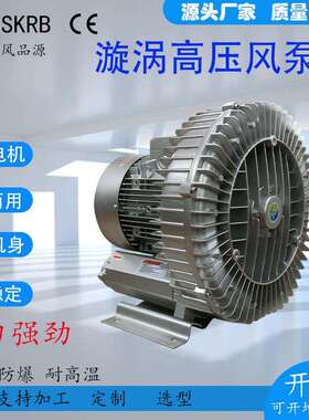 RB-93D-2牛乳纸盒充填机小型漩涡气泵12.5KW高压鼓风机旋涡风泵