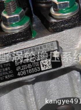 无锡喷油泵4PL220 BHF4PM100008和4PL1352A和4PL2109C 4PL2109D