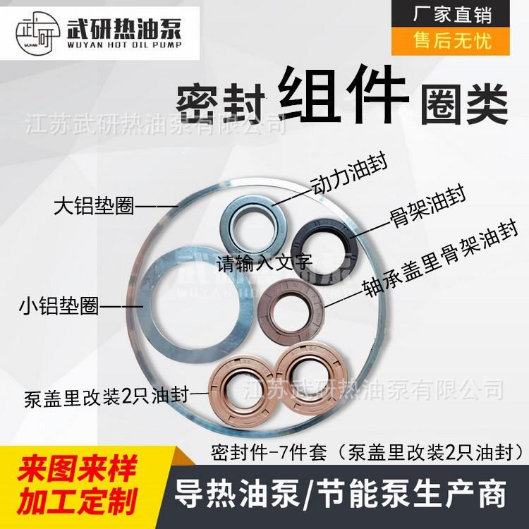 WRY热油泵配件 全套密封7样=油封5+铝垫圈2 泵盖改装常州武研供应