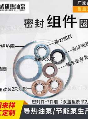 WRY热油泵配件 全套密封7样=油封5+铝垫圈2 泵盖改装常州武研供应