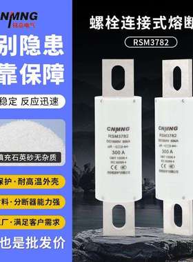 DC1000V充电桩熔断器RSM3782汽车熔断器(RS309,FWH100A,HEV)400A