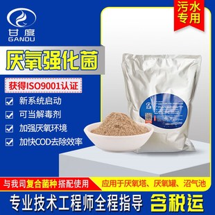 污水处理菌种 厌氧强化菌产甲烷加快降解COD总氮提升产气量厌氧剂