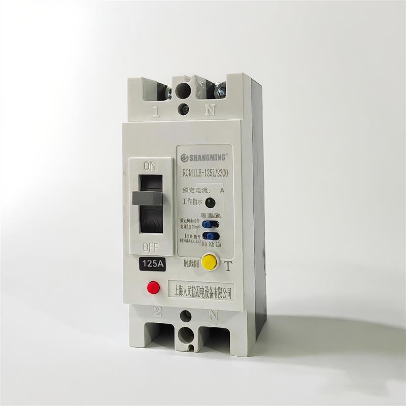 上海人民CM1LE单相漏电断路器63A 100A 125A 220V 250A空气开关2P