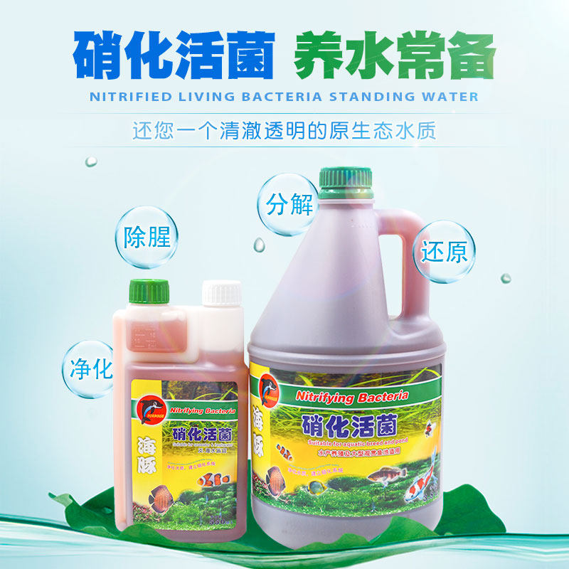 海豚活性硝化细菌水族净水剂清澈消化菌水质安定剂