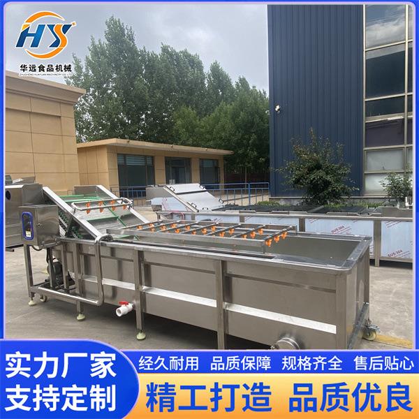 全自动玉米去杂清洗流水线 西红柿气泡清洗机 叶类蔬菜清洗设备
