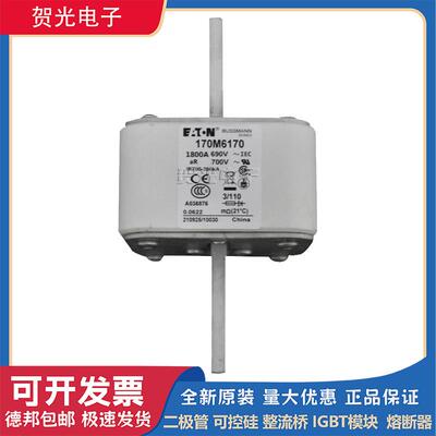 巴斯曼熔断器170M6158/6159/6160/6162/6163/6165/6166/6168/6170
