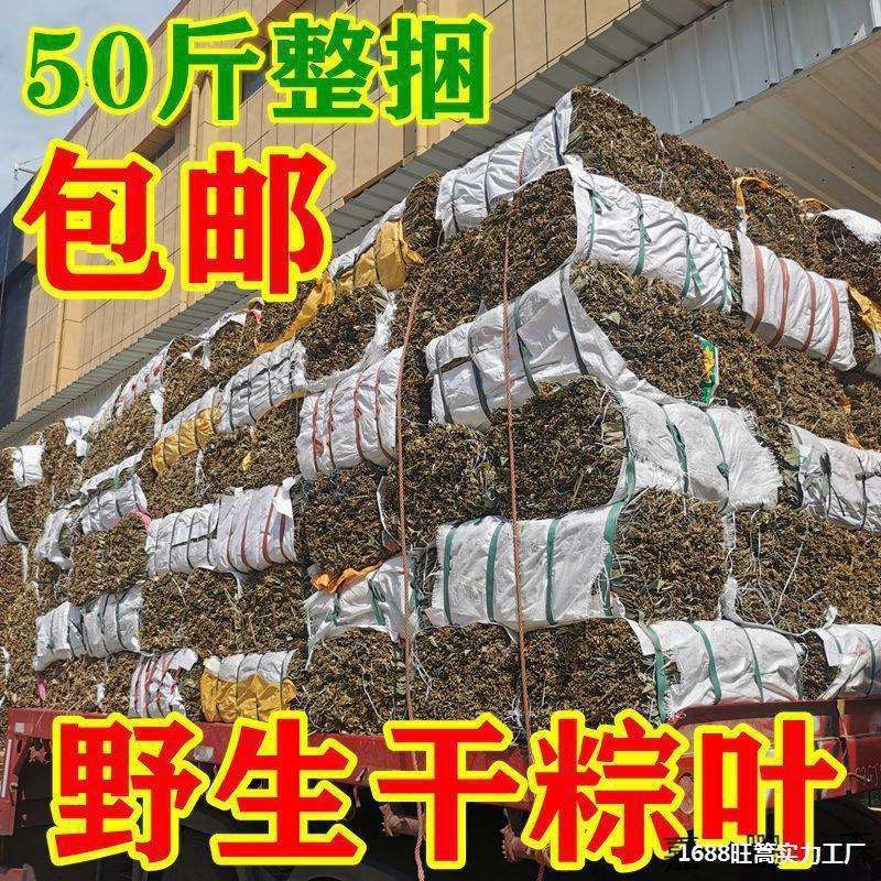 干粽叶粽子叶端午粽子粽叶批斤商用端午