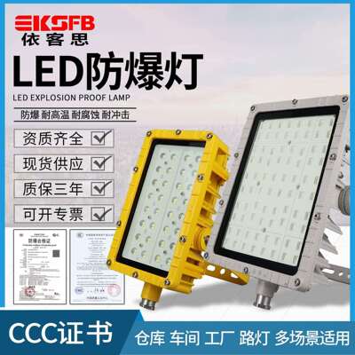 BFC8115LED泛光灯60W厂房隔爆型投光灯100W户外防水路灯式防爆灯