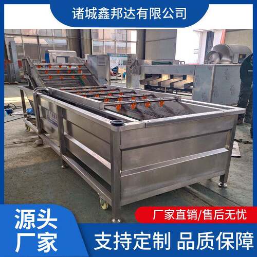 全自动地瓜叶气泡清洗机芥菜白菜去泥沙洗菜机蔬菜冲浪清洗设备