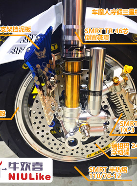 前轮组总成套装 小牛U+NXT N1 U+ 九号MZ M95C E100 极核AE5 AE4