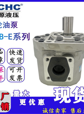 合肥长源液压齿轮泵压力泵CB-E20/E25/E32/E50-BFHL/BFPL电动泵