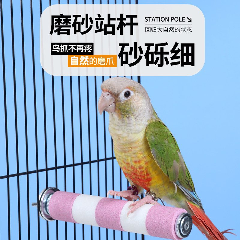 鹦鹉磨爪站杆不锈钢棒磨砂鸟笼配件鸟站架用站棍站台磨甲器