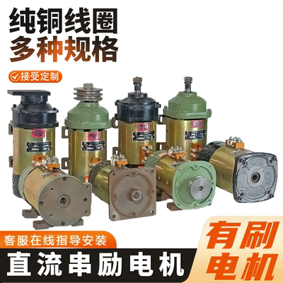电动三轮车电机 直流串励电机24v36v48v60v72V有刷电机水电瓶电机