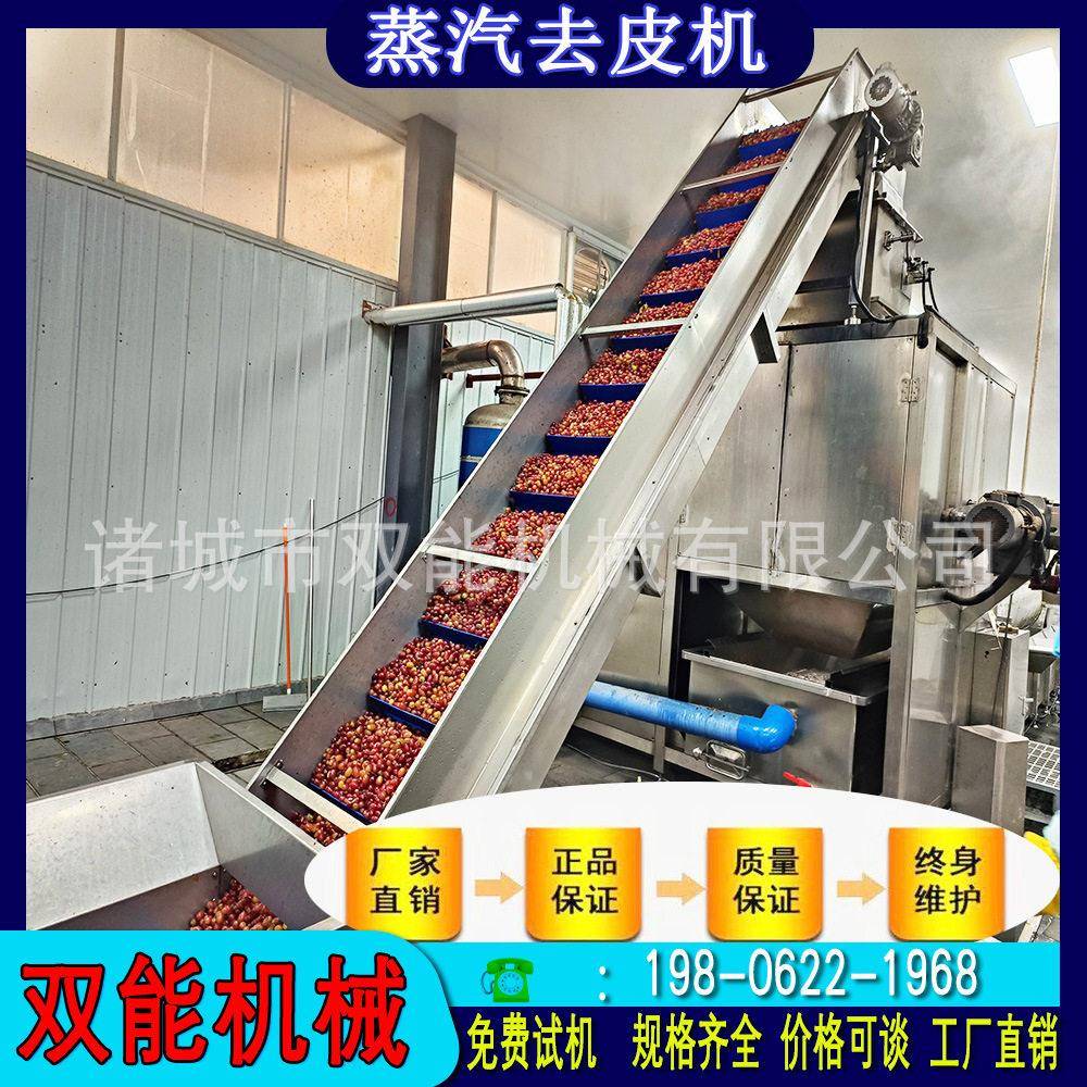 源头厂速冻葡萄蒸汽去皮机黄桃果葡萄头一体化深加工成套流水
