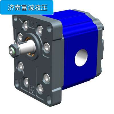 优势供 意大利原装XP301X3P6631INNA维沃VIVOLO高压大排量齿轮泵