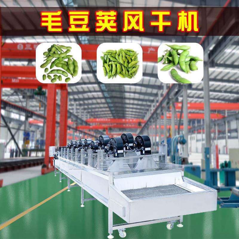 商用毛豆荚清洗风干机 全自动隧道式风干机 大型毛豆清洗除水机