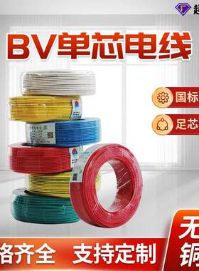 永久国标电源线纯铜芯线 布电线BV10 16 25平方电线电缆家装硬线