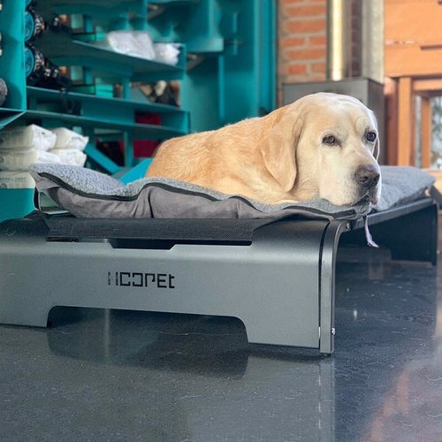 狗狗床大型犬狗窝金毛拉布拉多的沙发垫子行军床冬季保暖宠物用品
