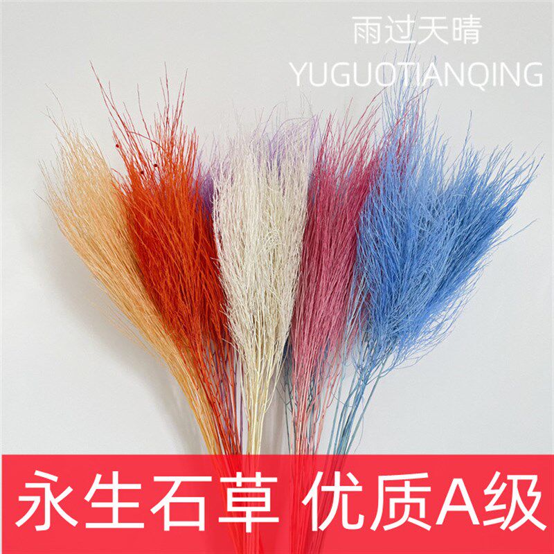 永生石草干花芦荀草石草永生花梦幻草家居软装花材婚礼布置手捧花