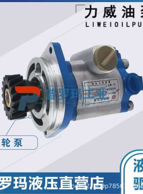 1032300027 中联重科ZOOMLION合肥力威液压助力油泵QC25/13-WP-PY