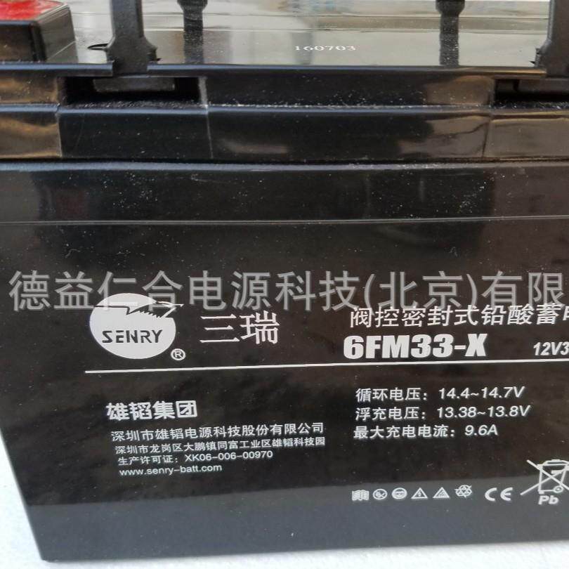 三瑞蓄电池6FM33-X 12V33AH铅酸蓄电池