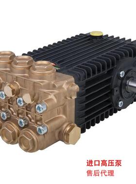 意大利进口INTERPUMP高压泵柱塞泵除漆除锈建材翻新W1550