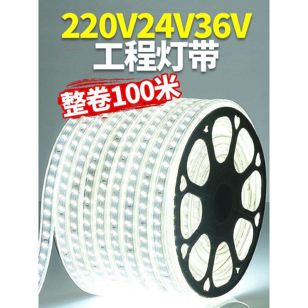 LED灯带220v户外防水地下室隧道工地亮化装饰照明白光灯条24V36V,鲜花速递/花卉仿真/绿植园艺,割草机/草坪机,淘宝优惠券,粉丝福利购,淘宝优惠卷