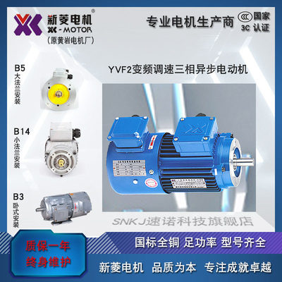浙江新菱黄岩YVF2变频调