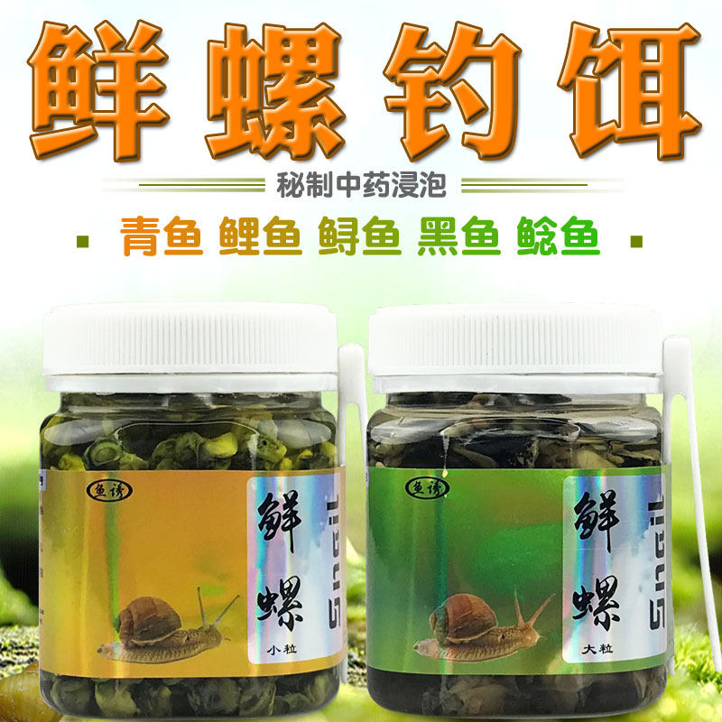 鲜螺肉钓鱼饵大物巨青鱼鲤鱼鲟鱼黑鱼螺蛳肉爆炸钩串钩螺丝鱼饵料