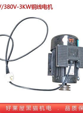 30 60型泵驱动铜线四级电机超高压清洗机2.2千瓦3KW 4000瓦电动机