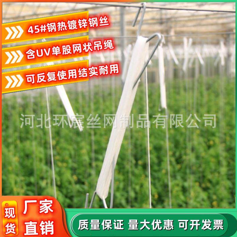 大棚番茄吊秧钩西红柿吊蔓钩吊黄瓜西瓜香瓜辣椒木瓜甜瓜落蔓钩绳,金属材料及制品,金属丝/绳/缆,淘宝优惠券,粉丝福利购,淘宝优惠卷
