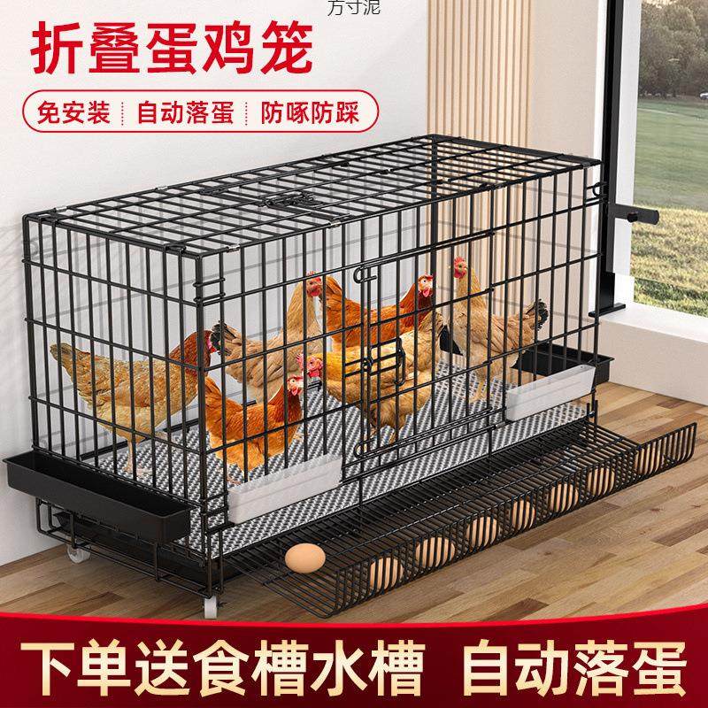 鸡笼子大号养鸡笼子家用室内滚蛋鸡笼自动出蛋母鸡笼鸭笼鹅笼