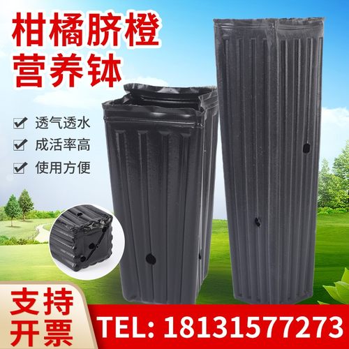 柑橘脐橙营养钵绿植苗圃育苗盆长筒异形育苗杯塑料育秧盘方形橘