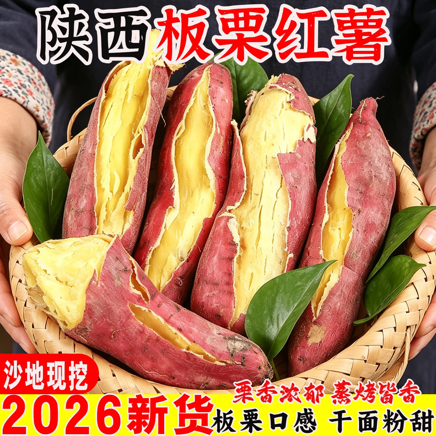 正宗陕西板栗红薯新鲜农家自种沙地现挖地瓜干面粉甜番薯黄心地瓜