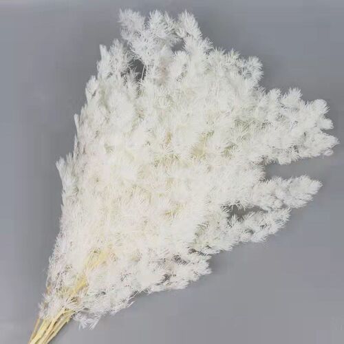 蓬莱松 永生花干花松蓬莱松客厅摆设软装礼盒diy材料云南枝知花卉