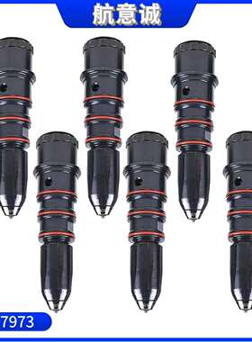 3047973 康明斯 NH/NT 喷油器总成 3047973