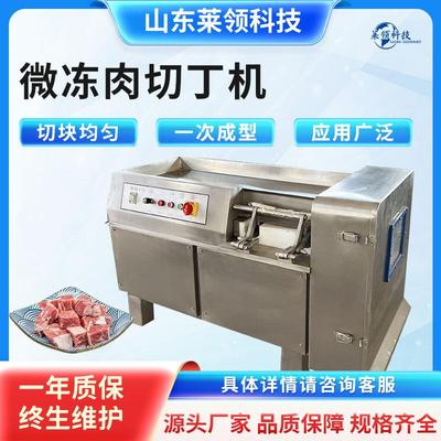 多功能立式微冻肉切丁机 商用冻牛肉连续切块机 不锈钢切肉丁设备