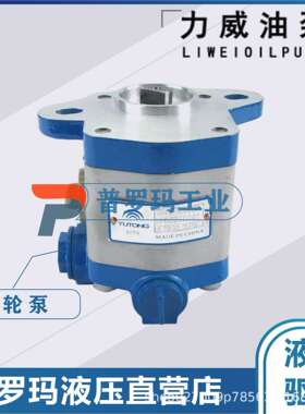 合肥力威汽车转向液压油泵客车汽车动力泵转向泵 QC16/13-6DF2C